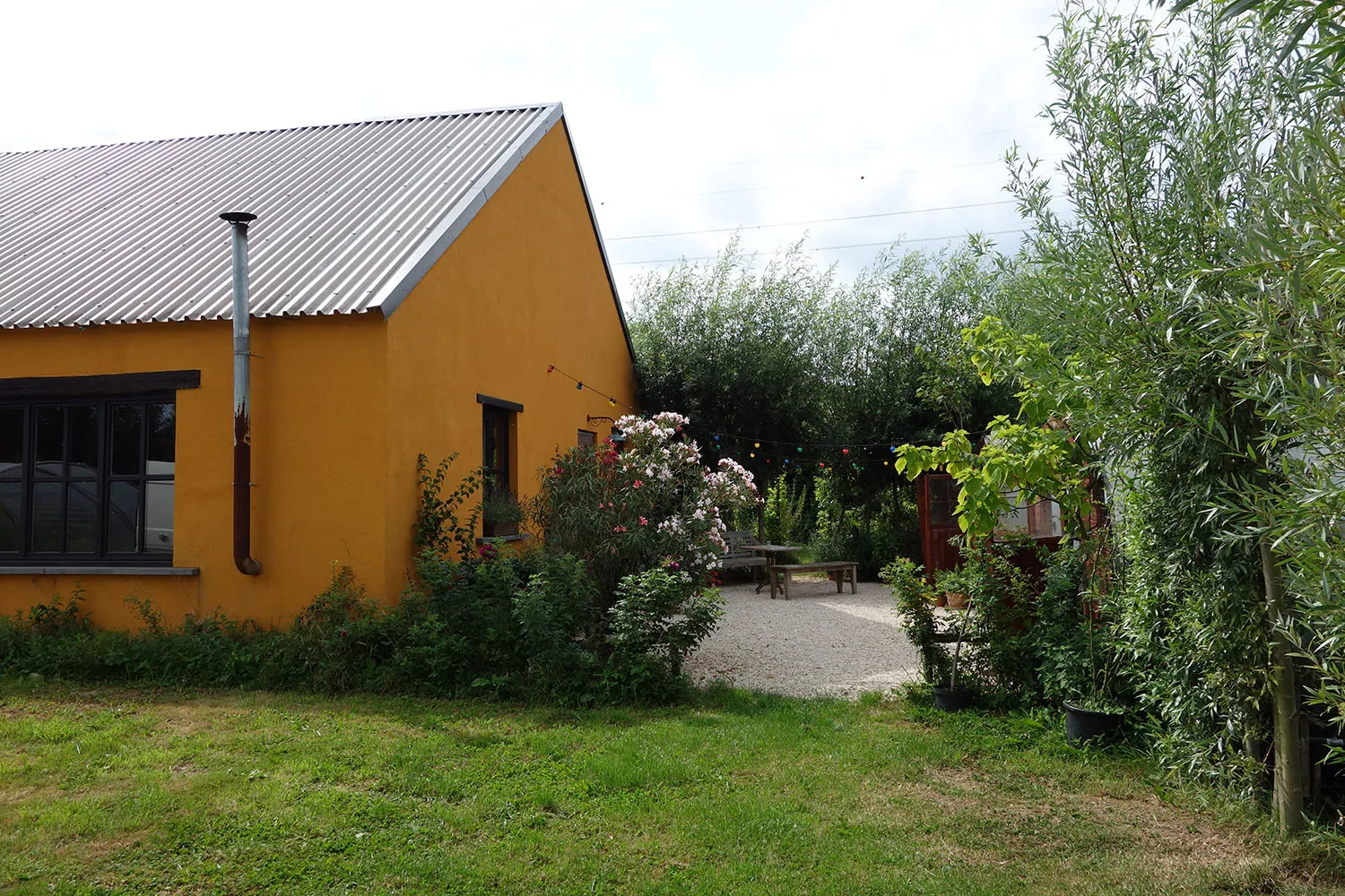 Sanguisorba — Ranst