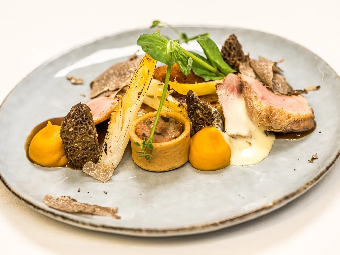 A d.ish dish — 2