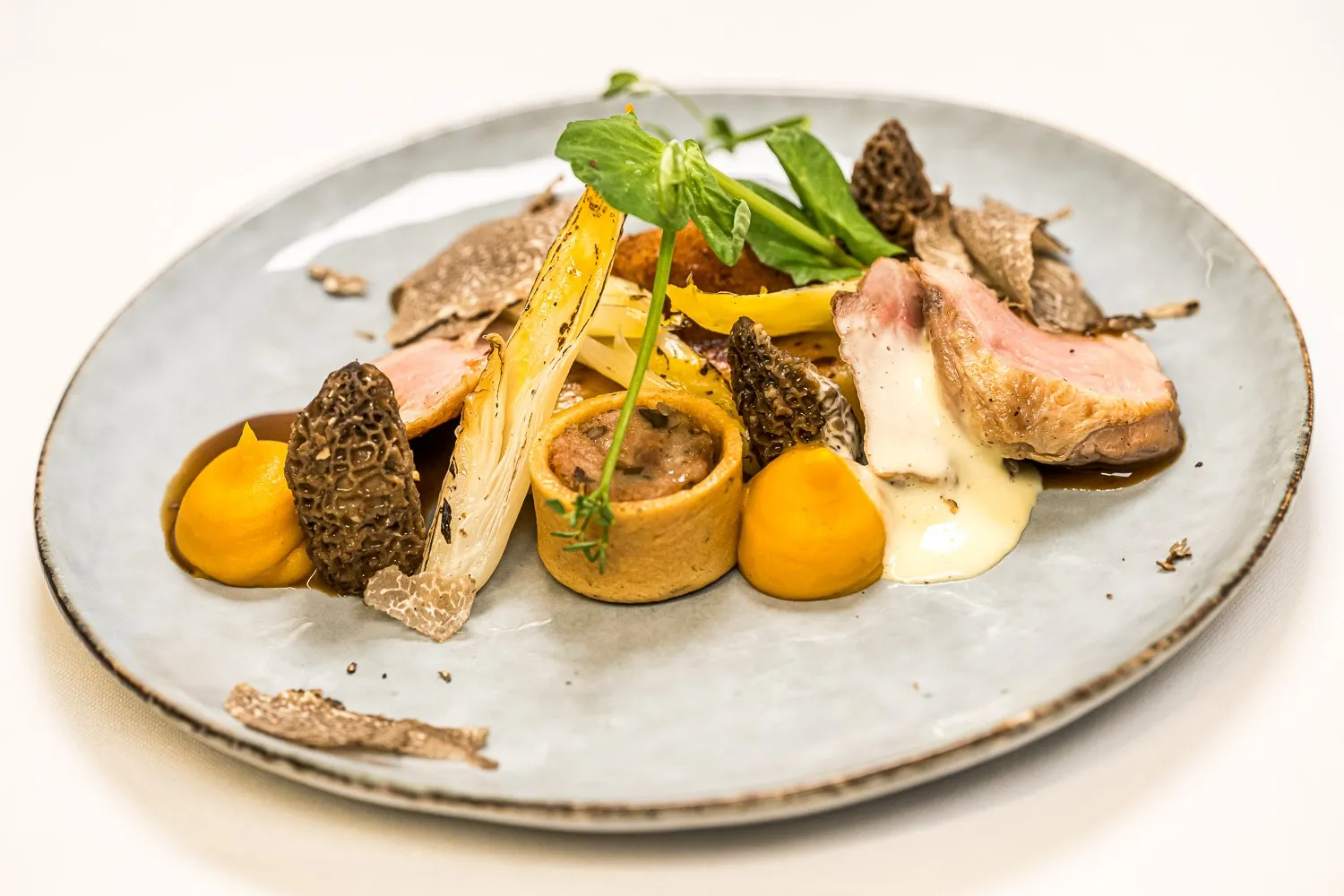 A d.ish fine dining plate